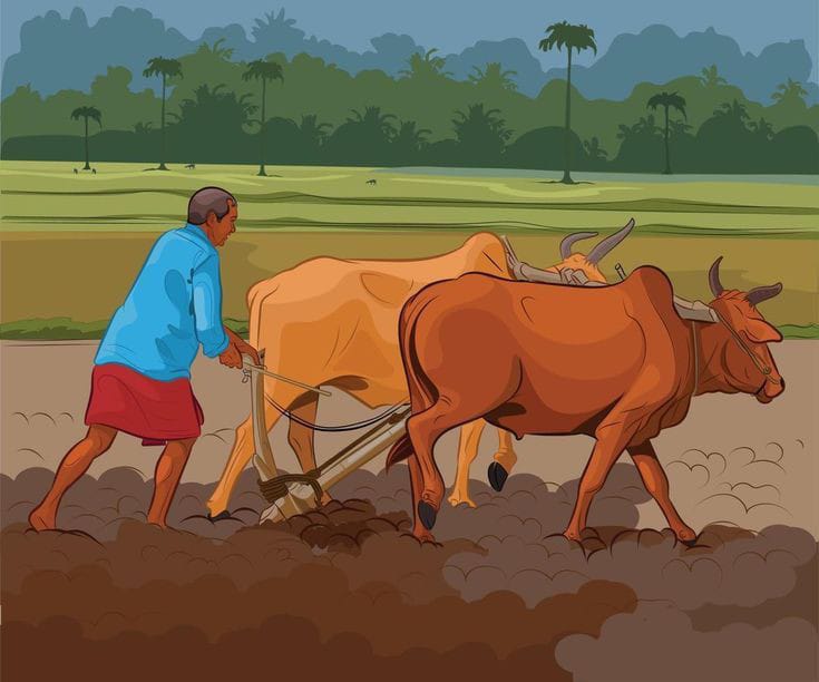 Crop Insurance 2025