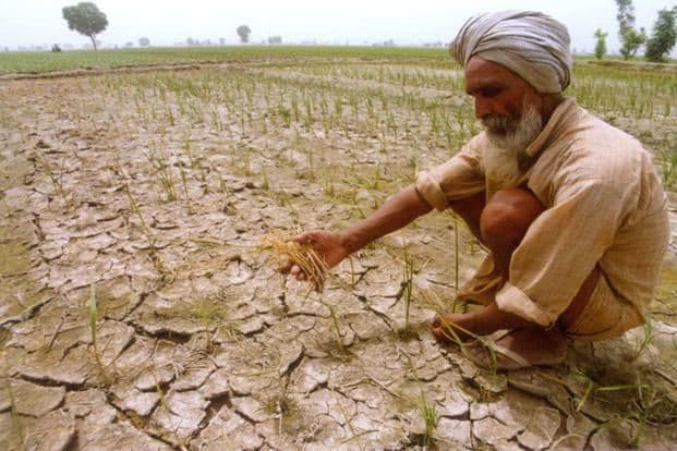 Crop Insurance 2025