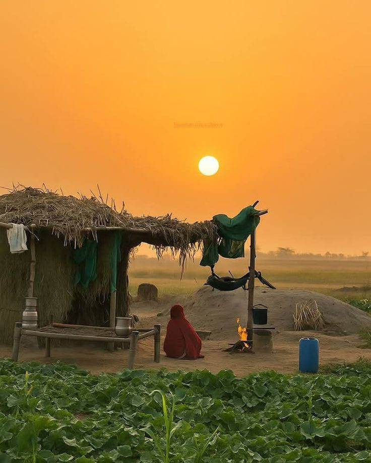 Microfinance Loans
