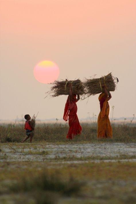 Microfinance Loans