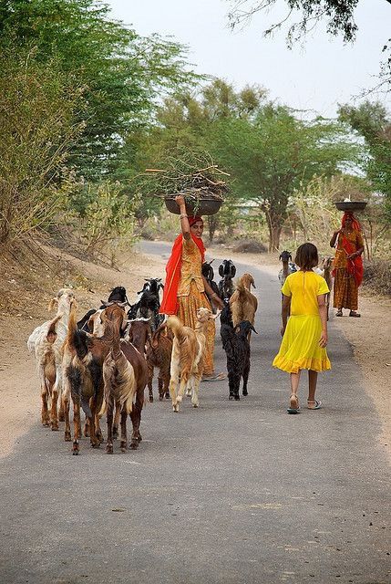 Microfinance Loans