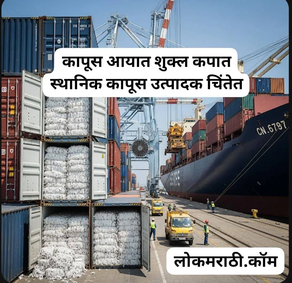 Cotton Import Duty Reduction