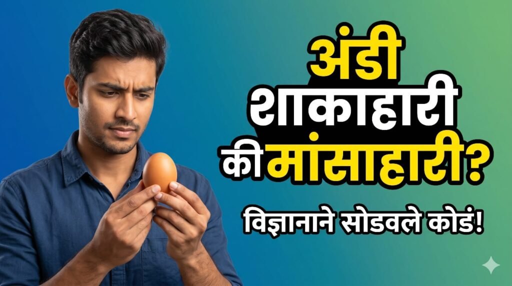 Are eggs vegetarian or non-vegetarian?